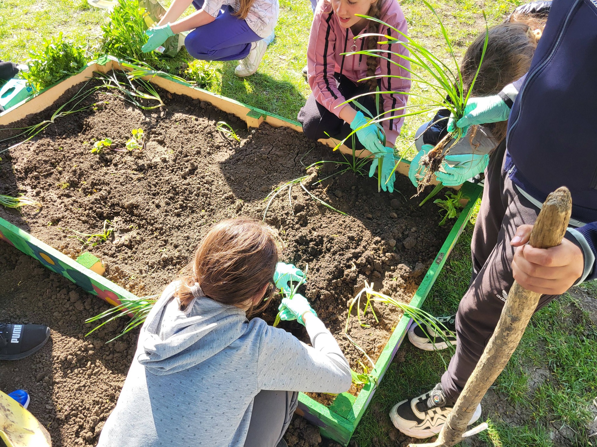 „Grădina visurilor” – Activitate comună a Clubului de Artă Incluzivă și a Clubului Ecologic